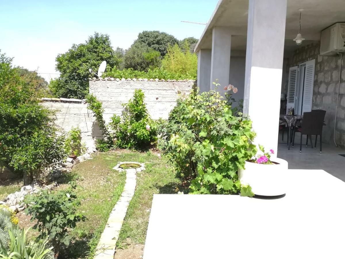 Nikola Apartamento *
